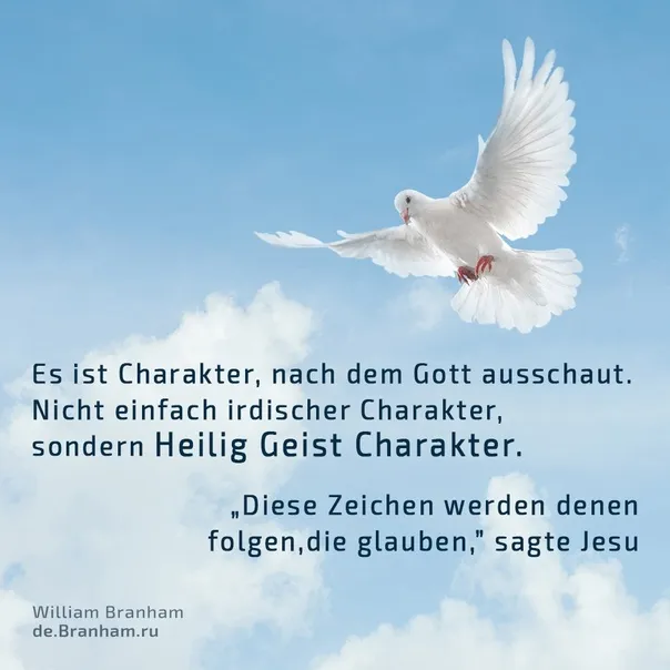 Bild Zitate