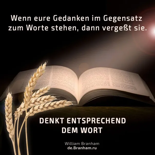 Bild Zitate