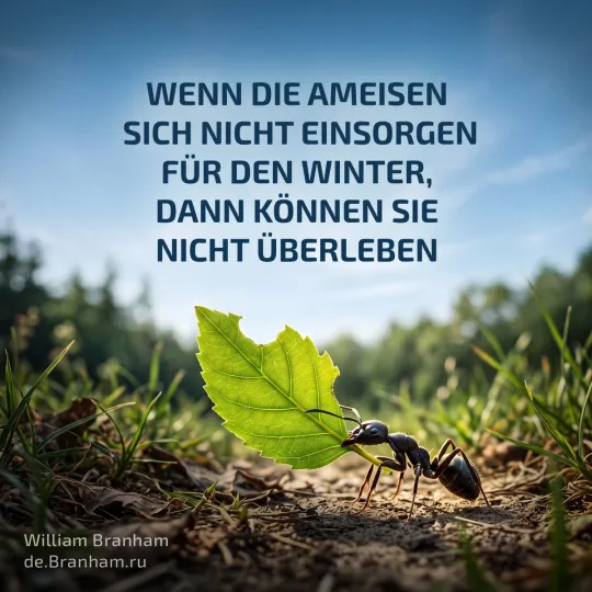 Bild Zitate