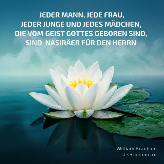 Bild Zitate